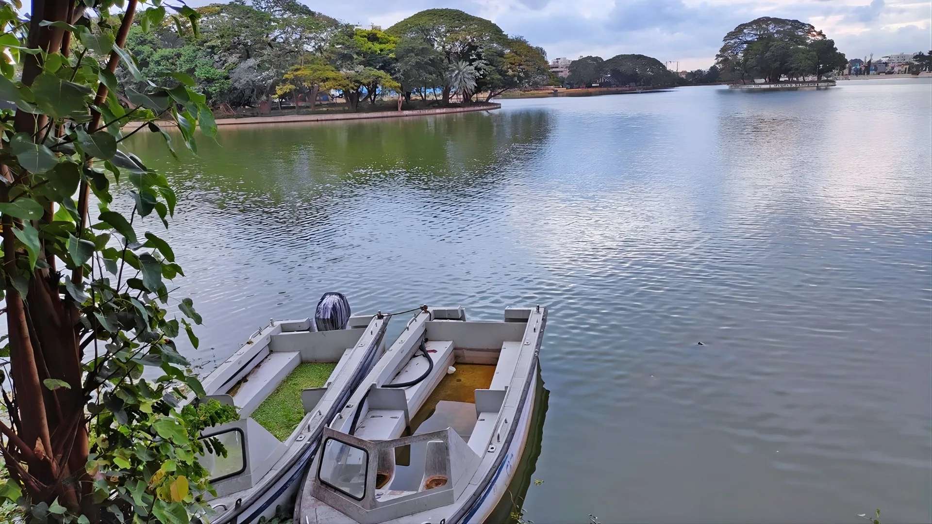 Ulsoor Lake